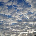 夏に受けた裁きについて