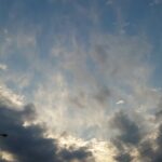 なにも悪いことはしていない