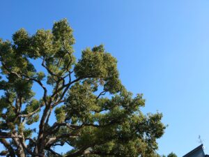 自身を見つめなおす