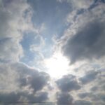 夢を見ました