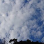 どこかズレている