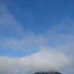 癌の嘘について