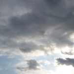 酒について
