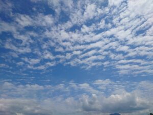 「夢」について