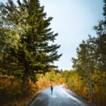 後戻りはしない