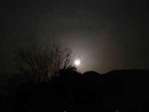 妄想から現実へ