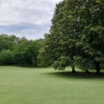 コロナにかかった？