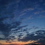 守られていたのかもしれない