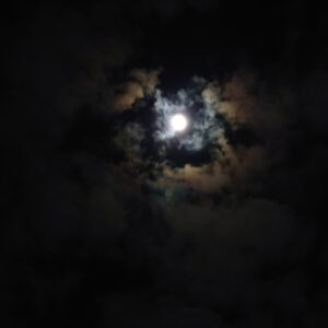 個性才能をのばさなければ