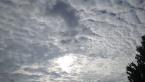 祈りによって願いが叶う