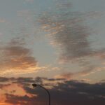 １１月１１日の祝祭の日