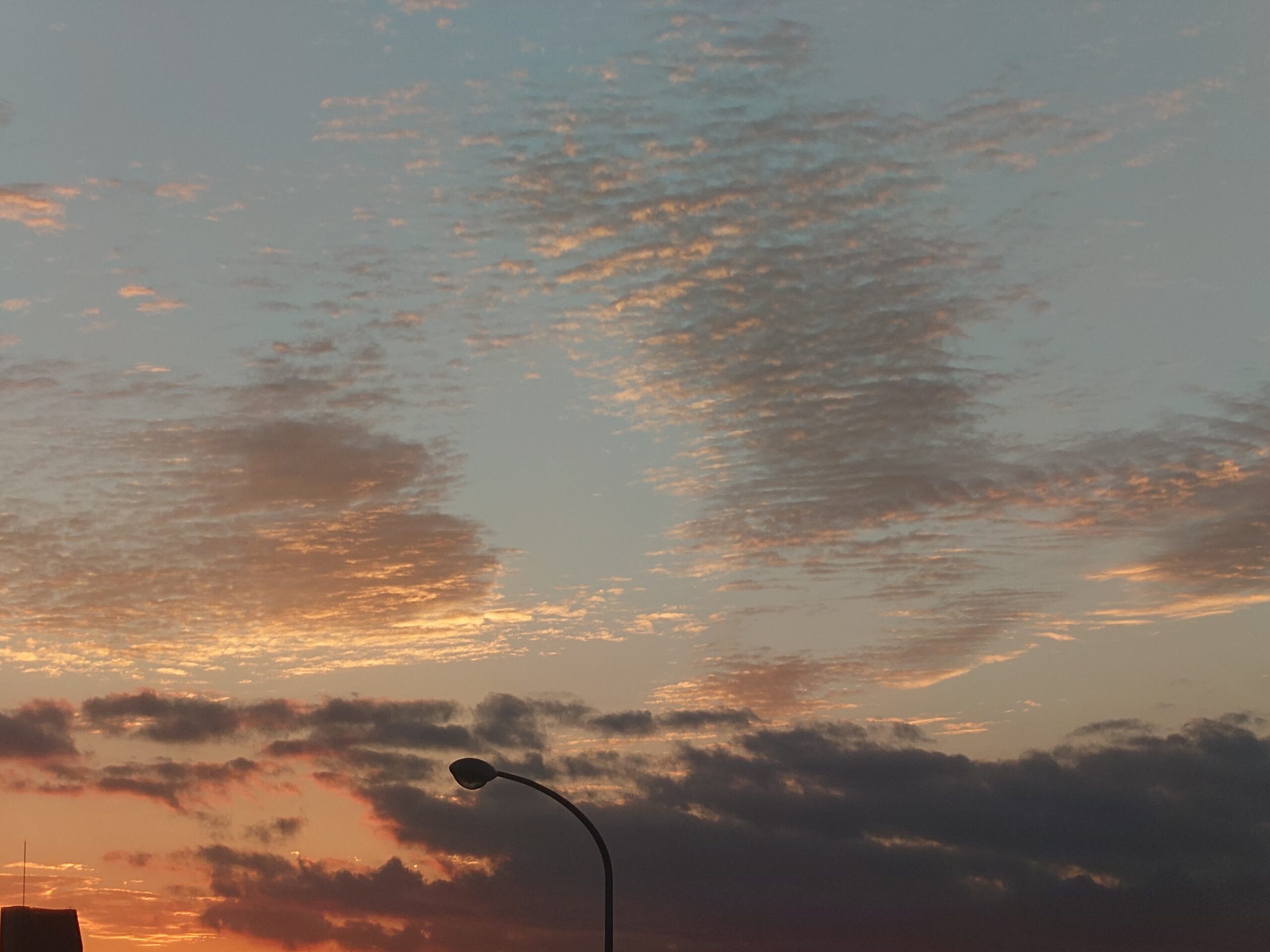 １１月１１日の祝祭の日